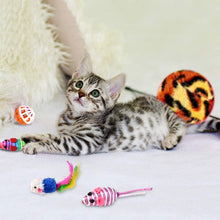 Carica l'immagine nel visualizzatore di Gallery, Giocattoli per Gatti, Gatto Giocattoli Interattivi Gioco per Gattino Kitten Indoor, 16 Pezzi
