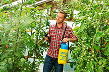 Carica l&#39;immagine nel visualizzatore di Gallery, Gloria Prima 3 Spruzzatore a Pressione con Ugello Regolabile in 3 Litri, 2