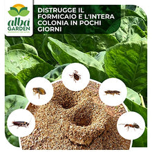 Carica l&#39;immagine nel visualizzatore di Gallery, Albagarden - Albakill Esca Anti Formiche Orto e Giardino - Insetticida Micro Granulare Per Ambienti Esterni - Scarafaggi Blatte Grillotalpa Insetti Pulci Zecche - Solubile Spray Antiformiche x 1 Kg