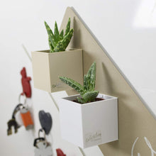 Carica l&#39;immagine nel visualizzatore di Gallery, Kalamitica 60035-900-001 Set da 3 Cubi Magnetici, Resina 6 cm, Toni Bianchi - Ilgrandebazar