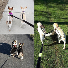 Carica l&#39;immagine nel visualizzatore di Gallery, Pecute Guinzaglio Doppio per Cani Estendibile e Riflettente, con... - Ilgrandebazar