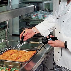 Ziel TFA Dostmann - Termometro per Alimenti P, 300 W - Ilgrandebazar