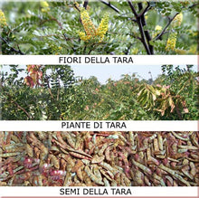 Carica l&#39;immagine nel visualizzatore di Gallery, FARINA DI SEMI TARA - Ideale per Gelati e Sorbetti - Pura 100% - 250gr -...