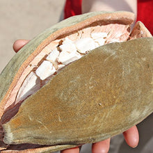 Carica l'immagine nel visualizzatore di Gallery, Mituso Polvere di Baobab Biologico Mituso, 1 Confezione (1 X 500G) - 2500 g