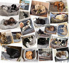Carica l&#39;immagine nel visualizzatore di Gallery, Pecute Letto per Cani Cuccia Gatto Peluche Ultra-Morbido Dog Bed M