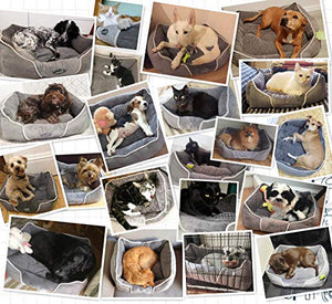 Pecute Letto per Cani Cuccia Gatto Peluche Ultra-Morbido Dog Bed M