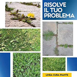 Albagarden - Diserbante Totale Glifosate Gliphogan Top Erbicida Per Diserbo Erbacce Ad Azione Disseccante Seccatutto Disserbante Per Gramigna A Base di Glifosato Glyphosate Libera Vendita 2 x 500 Ml