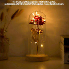 Carica l&#39;immagine nel visualizzatore di Gallery, Duokon Luce a LED Fiore Rosa conservata con Coperchio in Vetro e Base Rosso - Ilgrandebazar