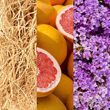 Carica l&#39;immagine nel visualizzatore di Gallery, Joop! JOOP! JUMP Eau de Toilette, Uomo, 100 ml - Ilgrandebazar