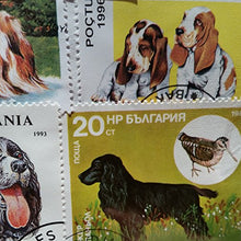 Carica l&#39;immagine nel visualizzatore di Gallery, Dogs of the World-Timbro, collezione, Souvenir con animali, cane... - Ilgrandebazar