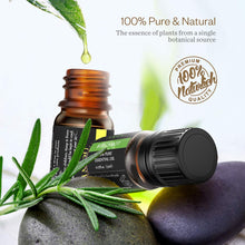 Carica l&#39;immagine nel visualizzatore di Gallery, Set Regalo di Oli Essenziali Anjou 18 x 5ml (Lavanda, 18x5ml, Multicolor - Ilgrandebazar