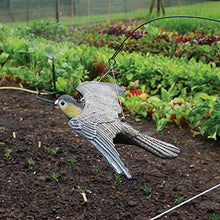 Carica l&#39;immagine nel visualizzatore di Gallery, Defenders - Esca volante a forma di falco 9.4x51.5x33.3 cm, Multicolore