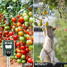 Carica l'immagine nel visualizzatore di Gallery, zonpor Repellente per Gatti, Ultrasuoni Solare Repellente Gatti Repeller per Piccioni, Uccelli, Cani, Gatti, Topi，Volpi，5 Modalità, IP44 Impermeabile