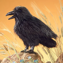 Carica l&#39;immagine nel visualizzatore di Gallery, Folkmanis Puppets 2430 - Corvo - Ilgrandebazar
