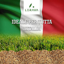 Carica l&#39;immagine nel visualizzatore di Gallery, LERAVA CHAMPION - semi prato resistente - sementi prato resistenti alla siccità - seme prato poca acqua - calpestabile - adatti a tutti i luoghi e tipi di terreno - 30m²