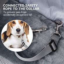 Carica l'immagine nel visualizzatore di Gallery, Pecute Borsa Trasportino per Cani Gatti, con Corda di Sicurezza Anti-Fuga,... - Ilgrandebazar