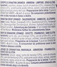Carica l&#39;immagine nel visualizzatore di Gallery, Fabbri Sciroppo Granatina 560ml - [confezione da 3]