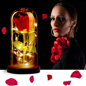 ASANMU Kit di Rose La Bella e Bestia, Petali Rosa Elegante Cupola di... - Ilgrandebazar