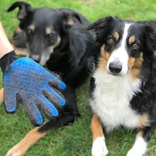 Carica l'immagine nel visualizzatore di Gallery, XiDe 2 Pezzi Guanto a Spazzola per Cani Gatti Massaggio e Pulizia Guanto Spazzola Cardatore Animali Elimina Peli Corti e Lunghi Massaggiante per Cani Gatti Coniglio Cavallo Cane Gatto Cavalli