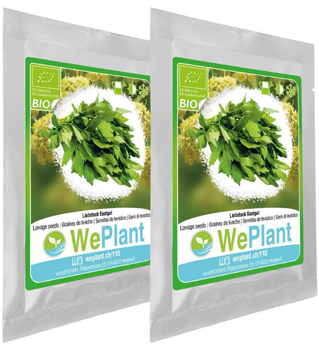 BIO Levistico - Set di semi piante erbe - interno/esterno - Ilgrandebazar