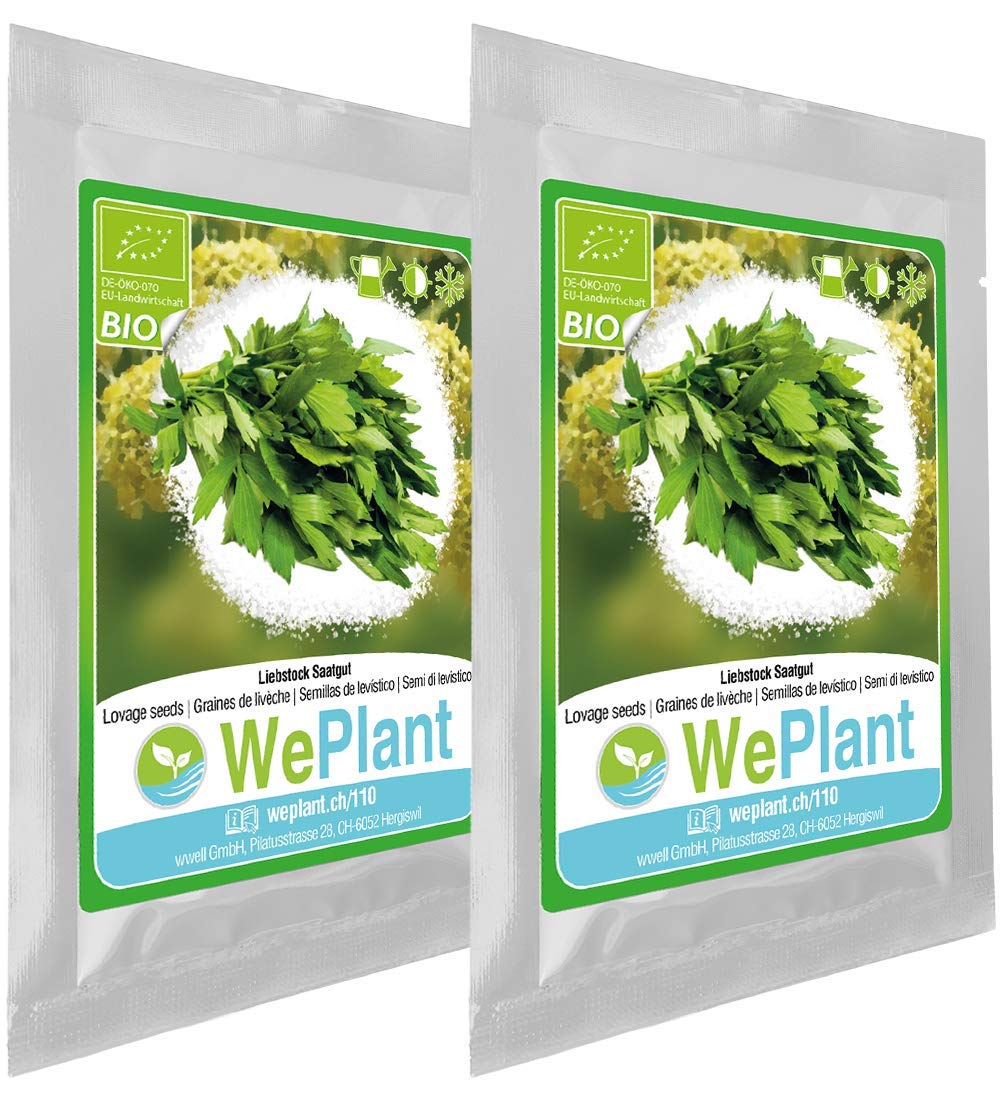 BIO Levistico - Set di semi piante erbe - interno/esterno - Ilgrandebazar