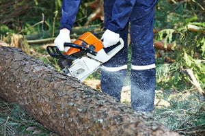 UClever 12 paia Guanti di Cotone per Ispezione Pulizia Monete, Gioielli,... - Ilgrandebazar