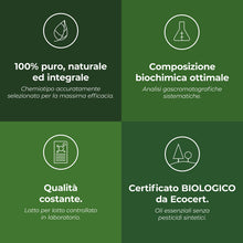 Carica l'immagine nel visualizzatore di Gallery, BIO - Olio essenziale MENTA PIPERITA - 30mL - 100% Puro, Naturale, Chemiotipizzato e Certificato AB - AROMA LABS (Marchio Francese)