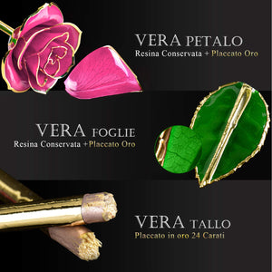 FORGIFTING Fiore di Vera Rosa Placcata con Oro 24K, Rose Conservate - Ilgrandebazar