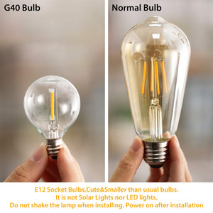 OxyLED Catene luminose,[LED Versione] G40 7.62metri 12 G40-led-12pcs - Ilgrandebazar