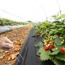 Carica l&#39;immagine nel visualizzatore di Gallery, Amagabeli Garden Home 200 Picchetti a U in Acciaio Lunghi 15CM - Ancoraggio... - Ilgrandebazar