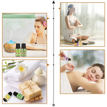 Carica l&#39;immagine nel visualizzatore di Gallery, Oli Essenziali per Diffusori Top 6 Set - Aromaterapia Olio Essenziale Clear - Ilgrandebazar