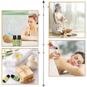 Oli Essenziali per Diffusori Top 6 Set - Aromaterapia Olio Essenziale Clear - Ilgrandebazar