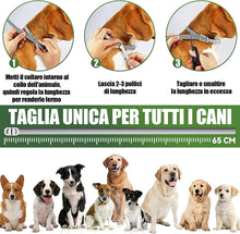 Carica l&#39;immagine nel visualizzatore di Gallery, 10