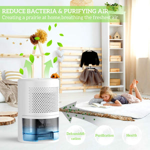 PAIPU Deumidificatore per case 900ml, Muffa e Umidità, ideale White-1 - Ilgrandebazar