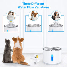 Carica l'immagine nel visualizzatore di Gallery, Aerb Fontanella per gatti, fontana per cani: Animale domestico Gatti Fontane Non-Slip Automatico dispenser acqua gatti con Luce Notturna e 3 Filtri di Carbonio Attivati - 2,4L