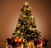 Carica l&#39;immagine nel visualizzatore di Gallery, ANSIO Luci natalizie per interni e esterno 500 LED albero luci bianco caldo, 8 modalità con memoria e funzione timer, alimentate, trasformatore incluso 12,5 m Lunghezza illuminata- CAVO VERDE