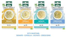 Carica l&#39;immagine nel visualizzatore di Gallery, Germogliatore Barattolo In Vetro Per Semi in