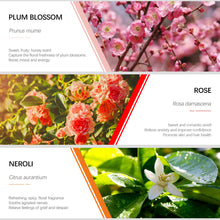 Carica l&#39;immagine nel visualizzatore di Gallery, Oli Essenziali Aromaterapia,ESSLUX Fiori Per Diffusori Olio... - Ilgrandebazar
