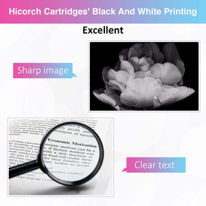Hicorch Cartucce 16XL Multipack Compatibile con Epson 16 XL per Epson WorkForce WF-2010 WF-2510 WF-2520 WF-2530 WF-2540 WF-2630 WF-2650 WF-2660 WF-2750 WF-2760 (6 Nero,3 Ciano,3 Magenta,3 Giallo)