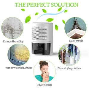 PAIPU Deumidificatore per case 900ml, Muffa e Umidità, ideale White-1 - Ilgrandebazar