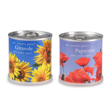 Carica l&#39;immagine nel visualizzatore di Gallery, Extragifts Fiori in lattina Set regalo - Girasole - Papavero multicolore - Ilgrandebazar