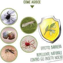 Carica l&#39;immagine nel visualizzatore di Gallery, i Consigli dell&#39;Esperto Olio di NEEM ad Uso Non Alimentare, Flacone 240 ml