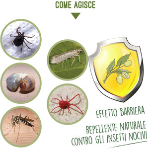 i Consigli dell'Esperto Olio di NEEM ad Uso Non Alimentare, Flacone 240 ml
