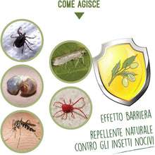 Carica l'immagine nel visualizzatore di Gallery, 3