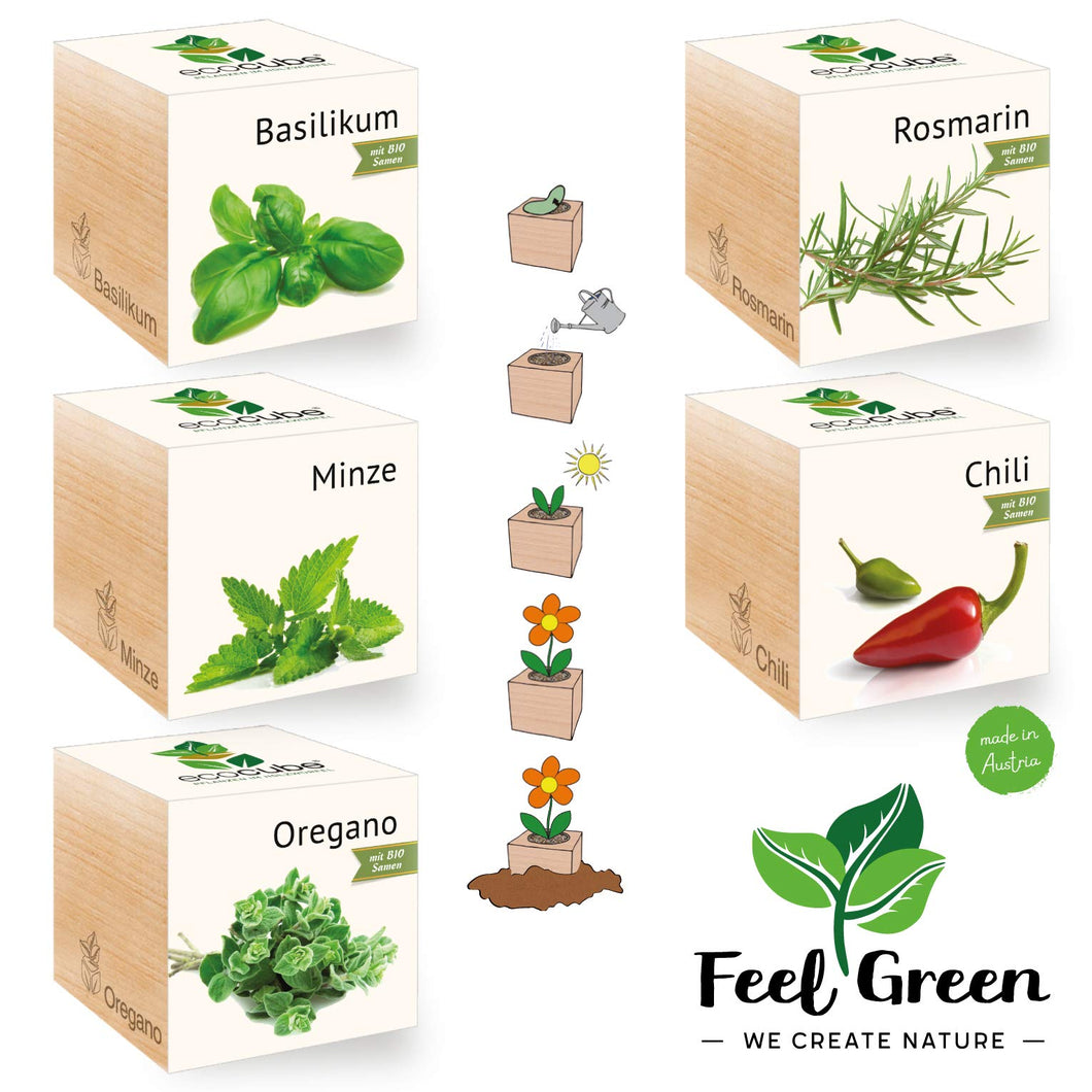 Feel Green Ecocube Set di Erbe con 5 varietà - 25% Risparmio nel Pacchetto,... - Ilgrandebazar