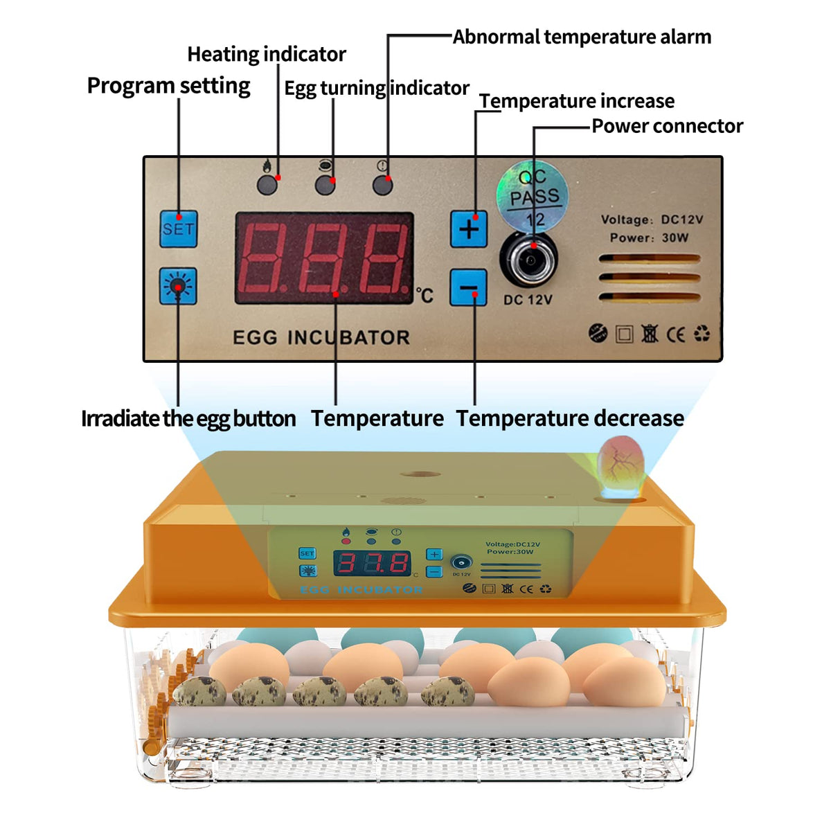 Incubatrice Automatica Per Uova Hethya Da 16 Uova - Controllo Temperatura, Rotazione Automatica, Doppia Alimentazione 220V/12V