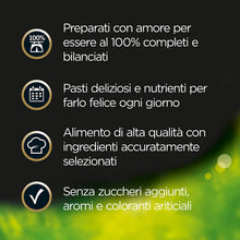 Carica l'immagine nel visualizzatore di Gallery, Cesar Selezioni dell'Orto Cibo per Cane, Delicato Paté con Manzo e Verdurine, senza coloranti éd aromi artificiali 150 g - 14 Vaschette