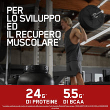 Carica l'immagine nel visualizzatore di Gallery, Optimum Nutrition Gold Standard 100% Whey Proteine in Polvere con Proteine Isolate ed Aminoacidi per la Massa Muscolare, Cioccolato al Latte, 28 Porzioni, 0.9 kg, il Packaging Potrebbe Variare