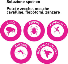 Carica l'immagine nel visualizzatore di Gallery, 44