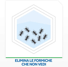 Carica l'immagine nel visualizzatore di Gallery, Raid Esca Formiche, Pronta all'Uso, Confezione da 1 Esca Insetticida per Uso in Spazi Interni ed Esterni